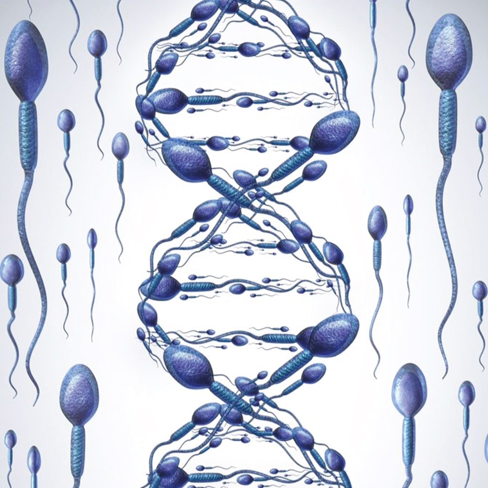 γενετικός έλεγχος DNA σπέρμα IOLIFE έλεγχος κατακερματισμού dna