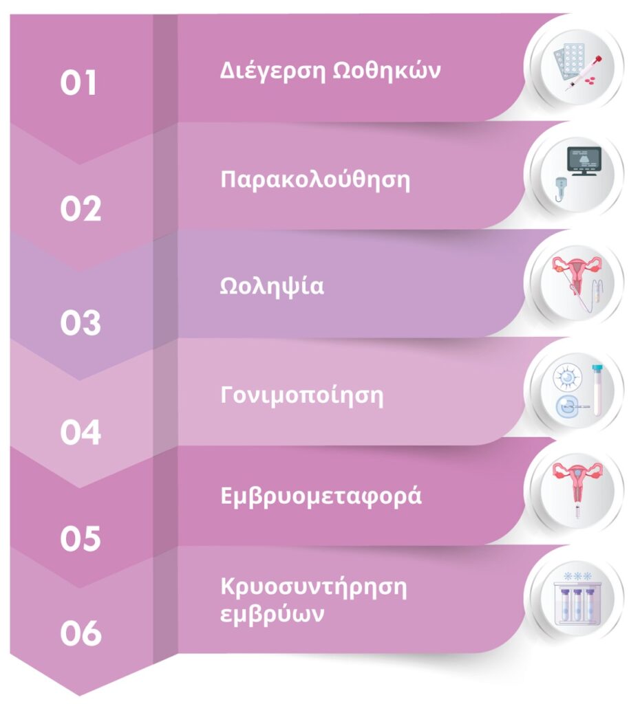 Διαδικασία- Τα 6 Στάδια εξωσωματικής Institute of Life infographic