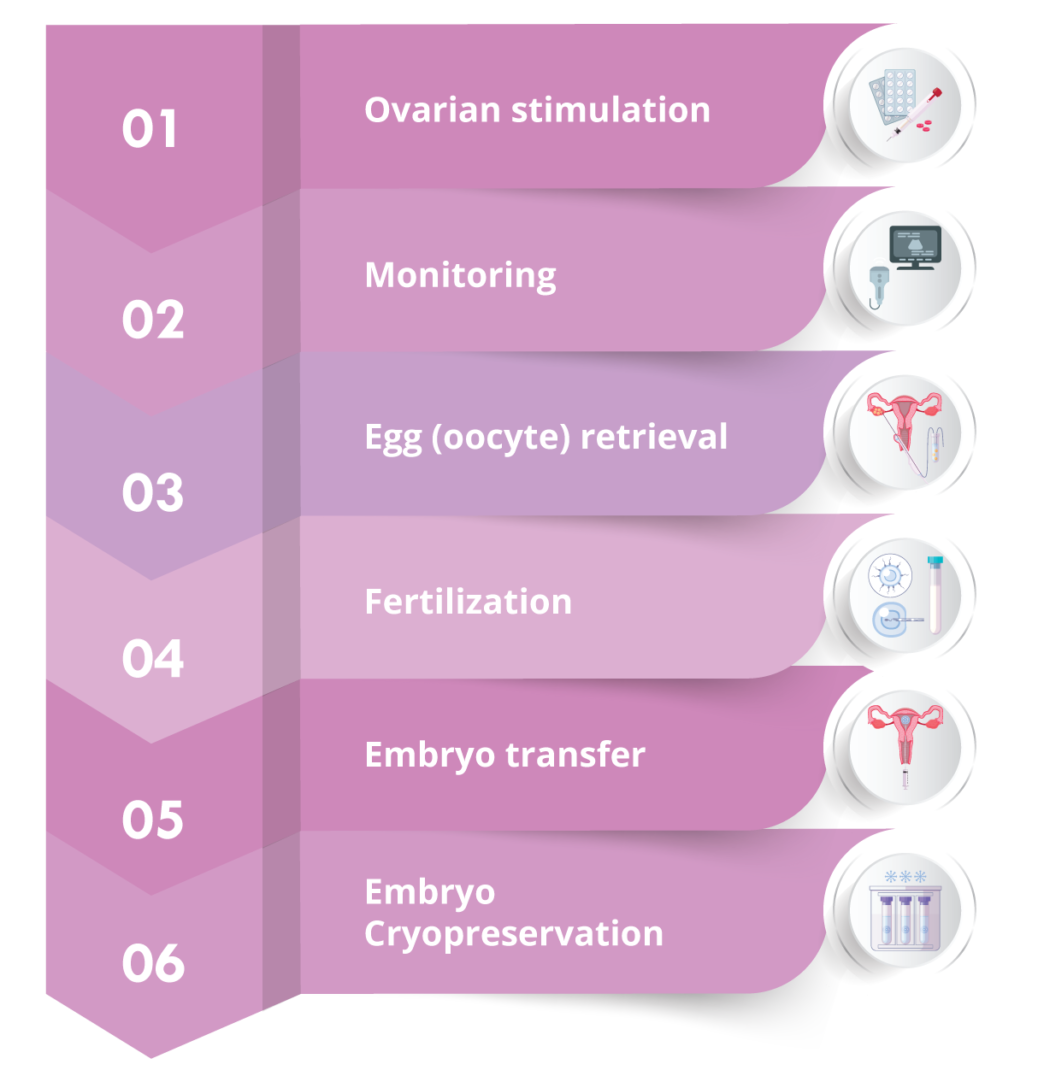 In Vitro Fertilization Ivf Institute Of Life