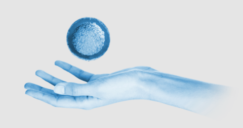 Χέρι που κρατά ψηφιακή απεικόνιση ωαρίου, συμβολίζοντας τη διαδικασία δωρεάς ωαρίων.