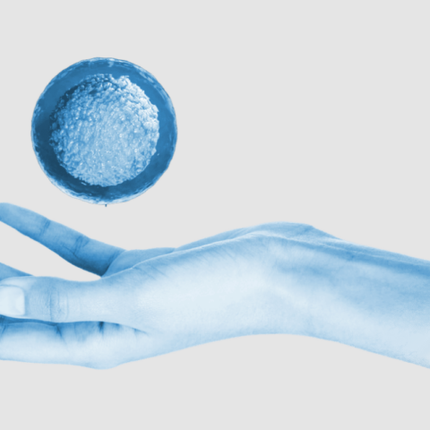 Χέρι που κρατά ψηφιακή απεικόνιση ωαρίου, συμβολίζοντας τη διαδικασία δωρεάς ωαρίων.